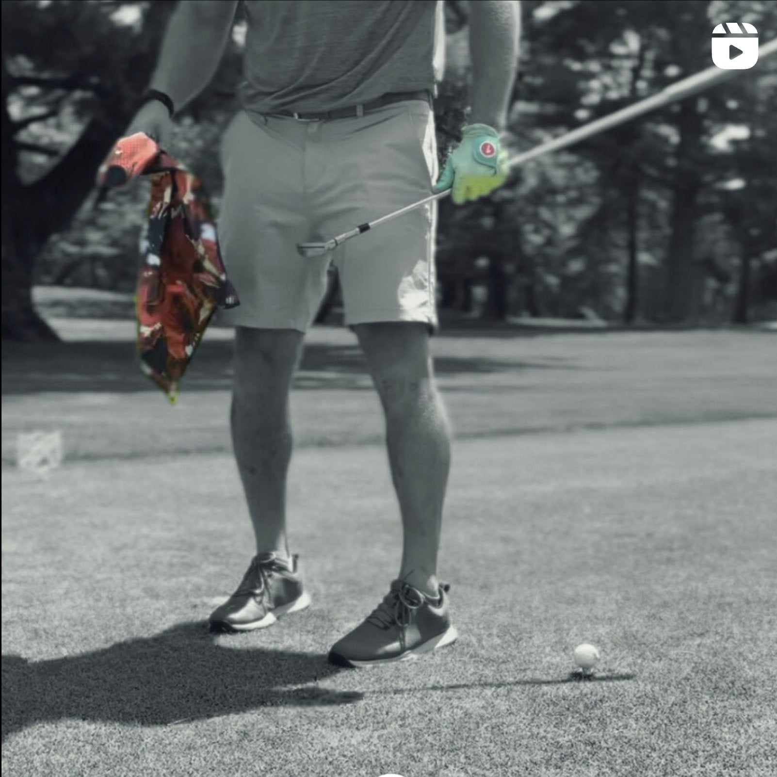 Golfer holding a magnetic golf towel with rose print in red and black, and wearing a unique golf glove with ball marker in green and red with a monochromatic background.